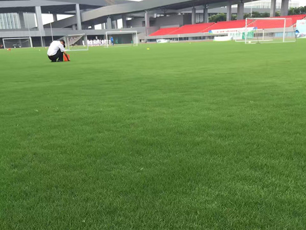 百慕大