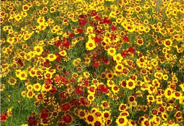 1629242834775345.jpg Z}[(N5$TN}T{MB4Y8L1FXO3.jpg