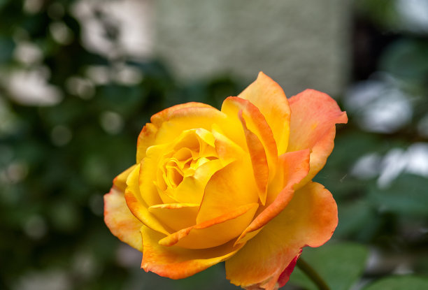 1630076760371020.jpg