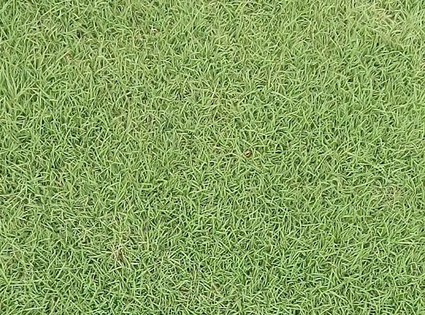 1630836488615911.jpg