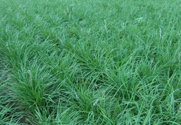 1630897422633862.jpg