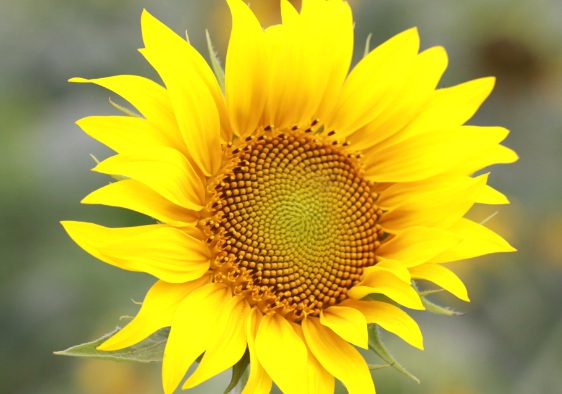 1631750531188133.jpg