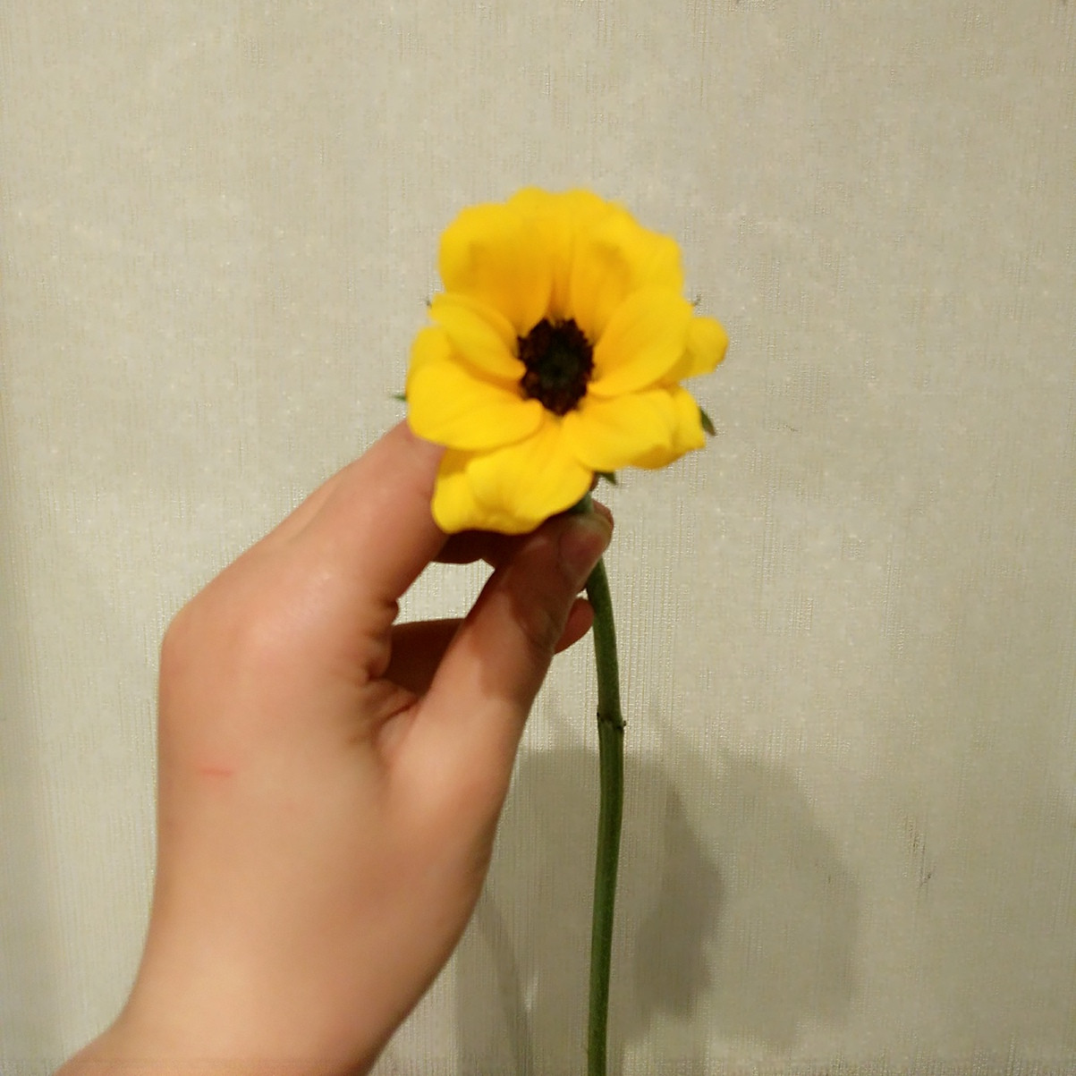 1634122533657680.jpeg