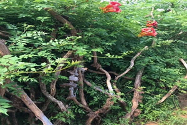 1634716762163386.jpg