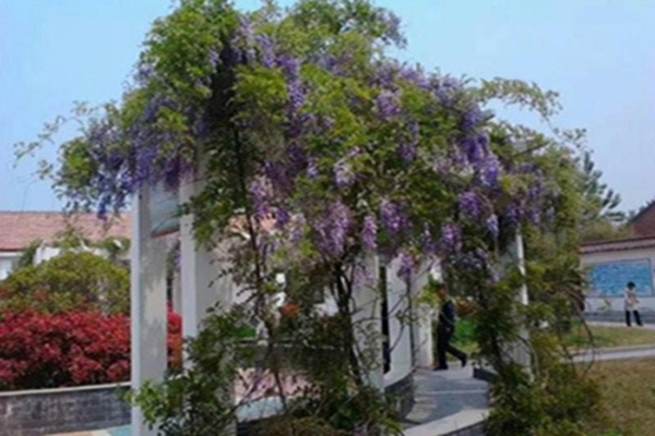 1637047939355657.jpg