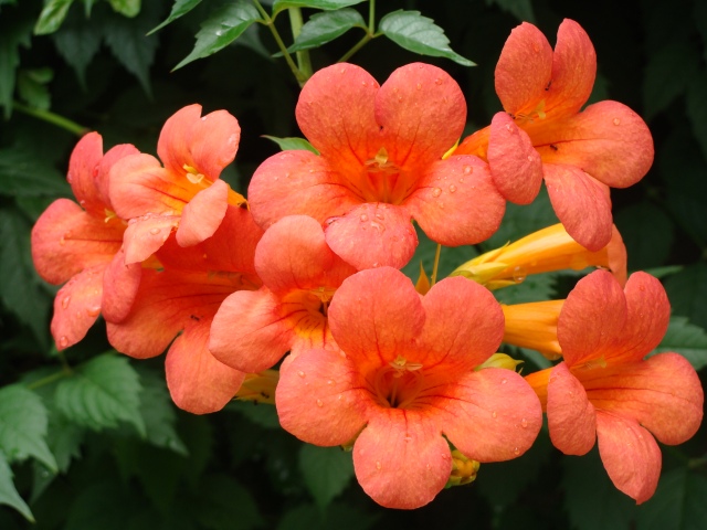 1639476763365867.png
