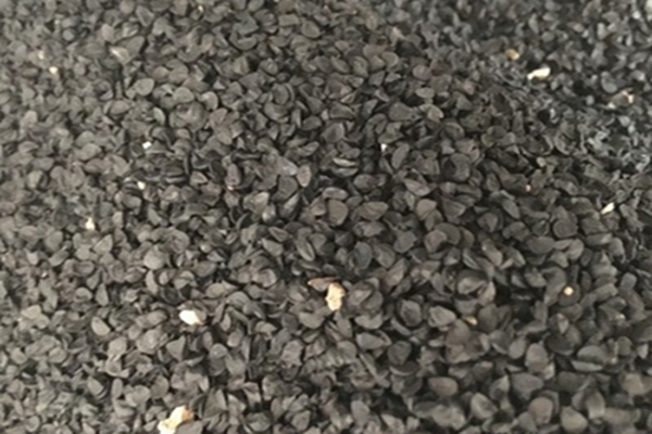 1642650572466770.jpg