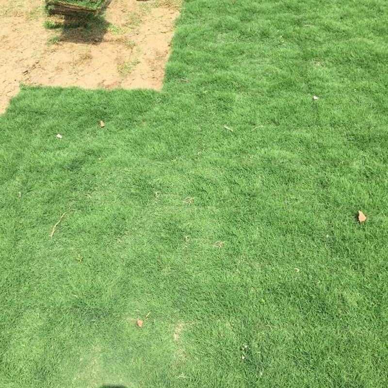 百慕大