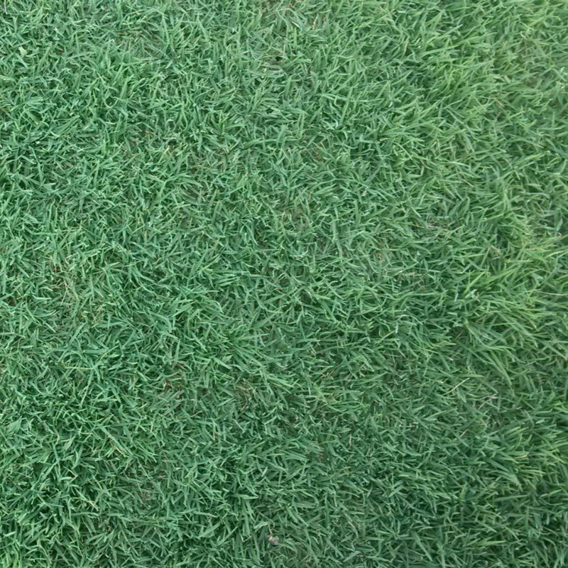 1647398276670119.jpg