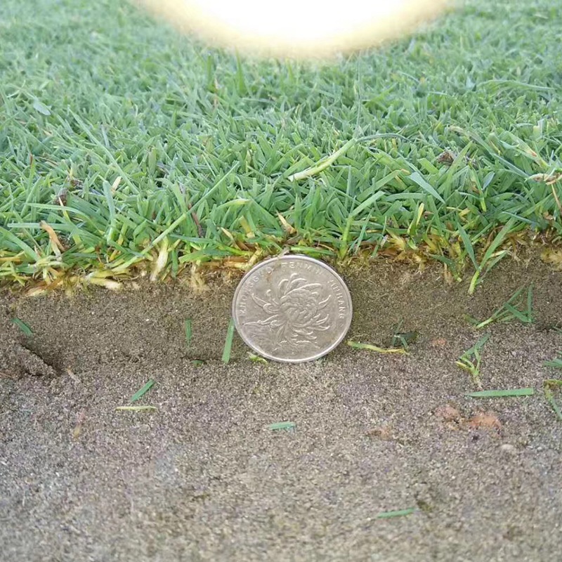 1647409130315742.jpg