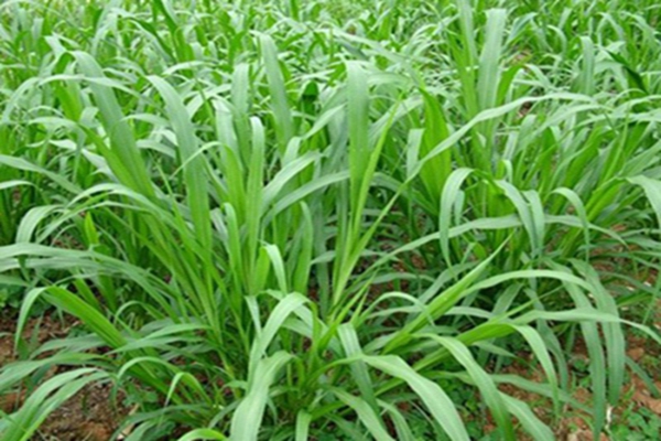 1648123007788360.jpg