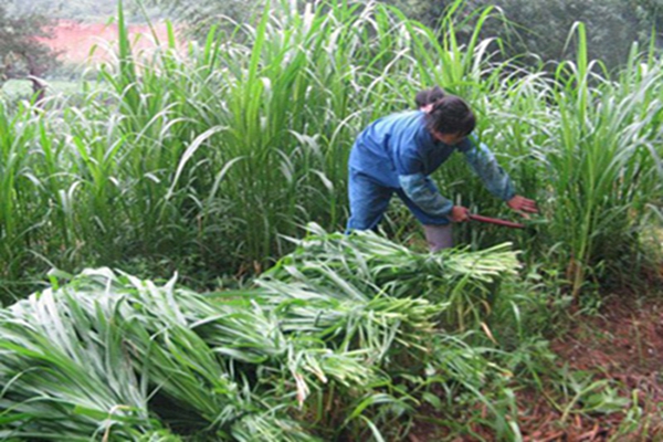 1648123055775007.jpg