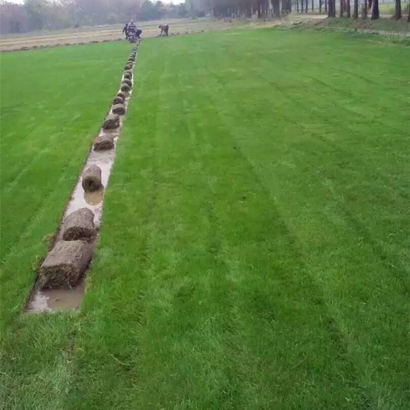 1650285480805219.jpg