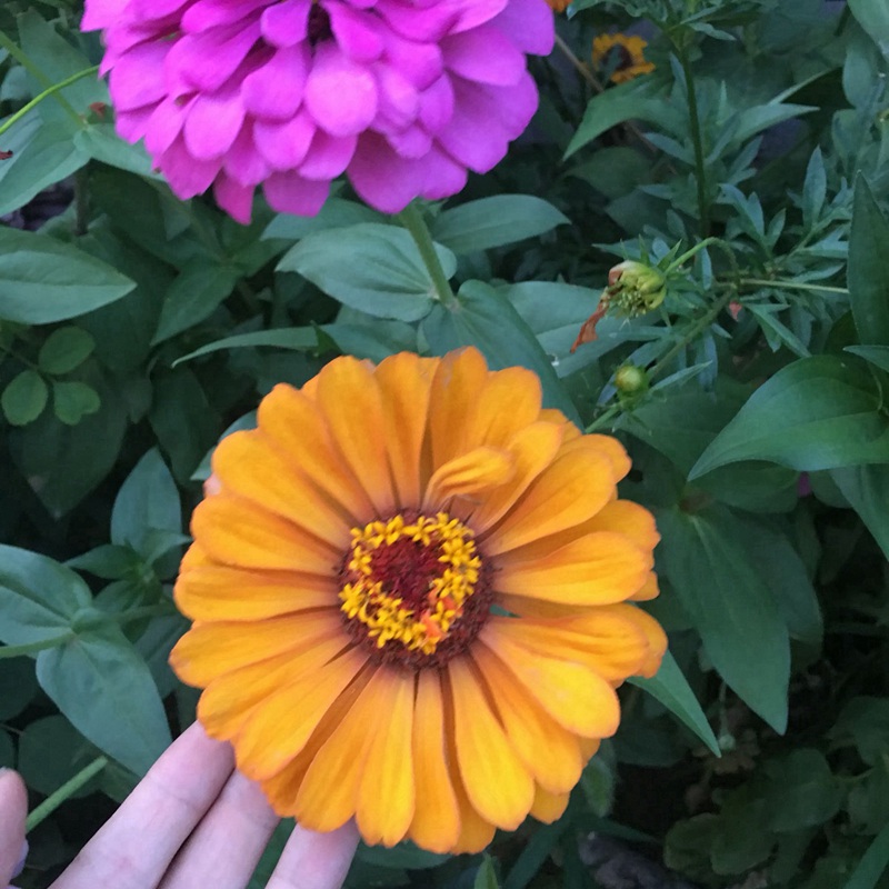 1657160336776108.jpg